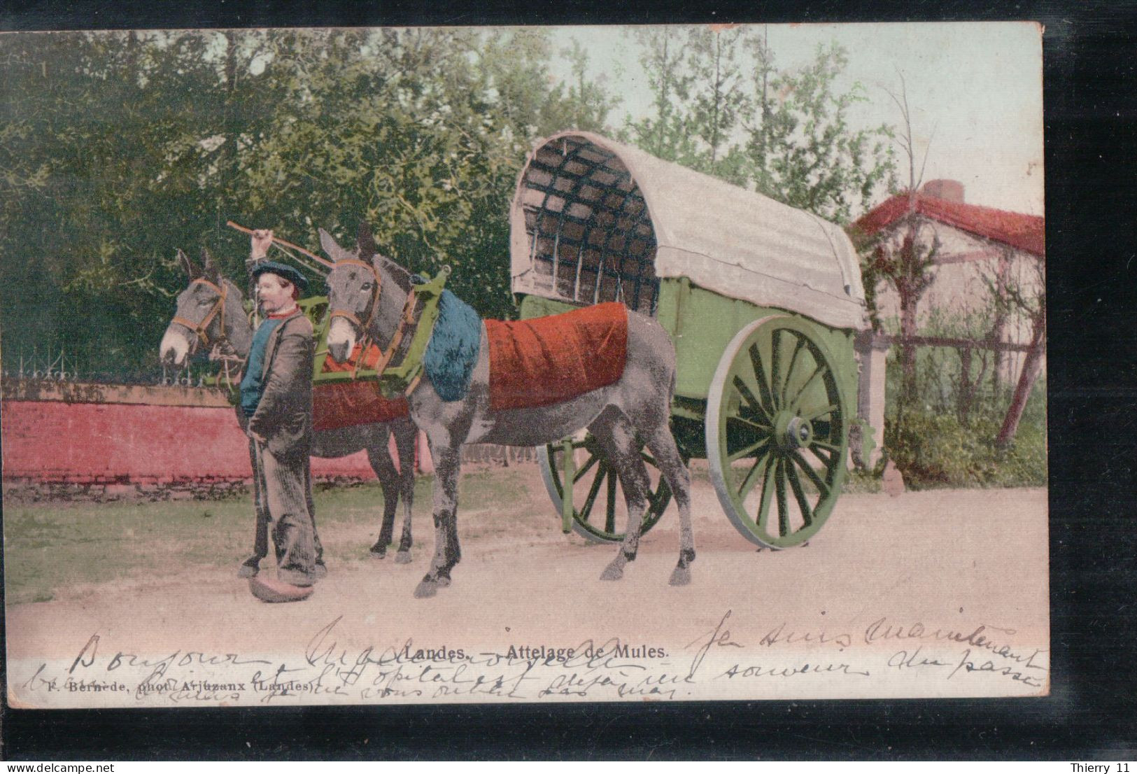 Cpa 40 Landes Attelage De Mules - Autres & Non Classés