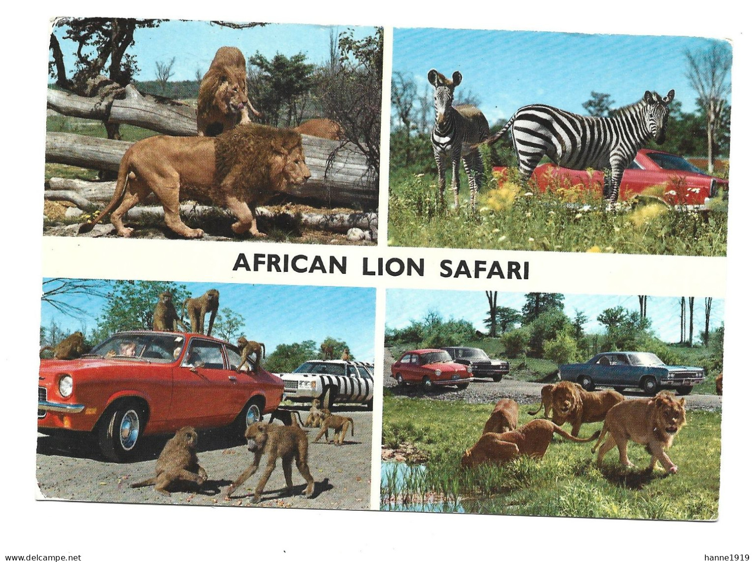 African Lion Safari Zebra Monkey Lion Photo Carte Timbre Ontario 1973 Canada Htje - Leeuwen