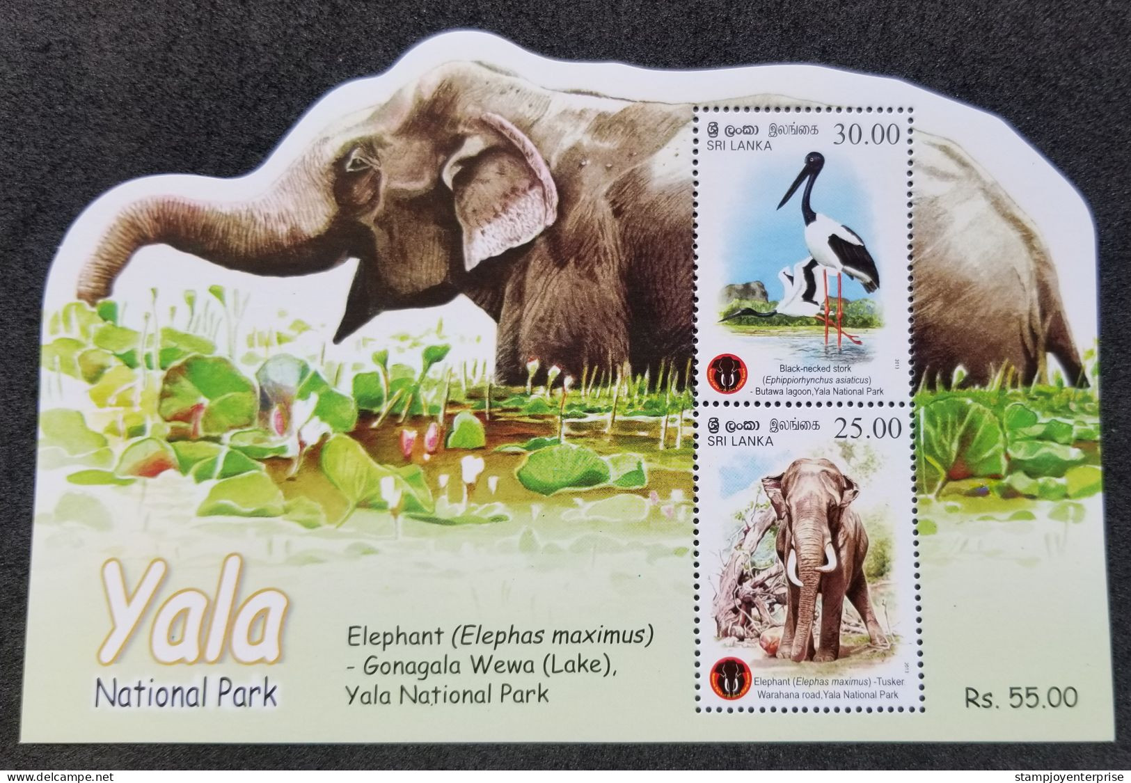 Sri Lanka Yala National Park 2013 Elephant Stork Bird Wildlife Fauna (ms) MNH *odd Shape *unusual - Sri Lanka (Ceylon) (1948-...)