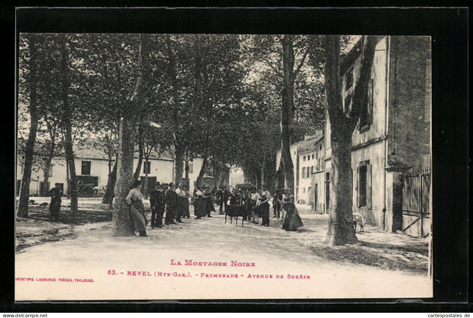 CPA Revel, Promenade, Avenue De Sorèze  - Revel