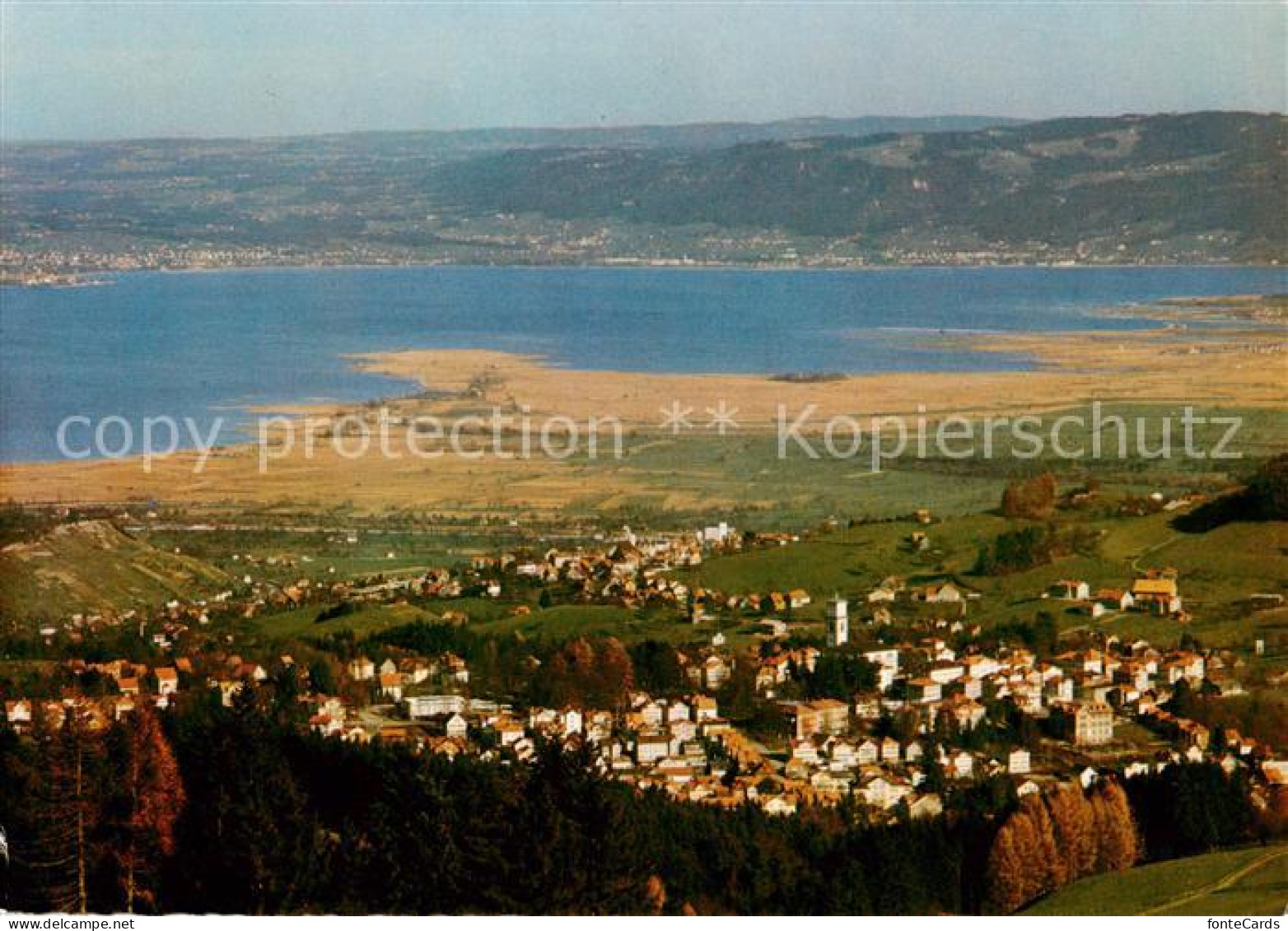 13843768 Heiden AR Panorama Mit Wolfhalden Lindau Und Bodensee Heiden AR - Autres & Non Classés