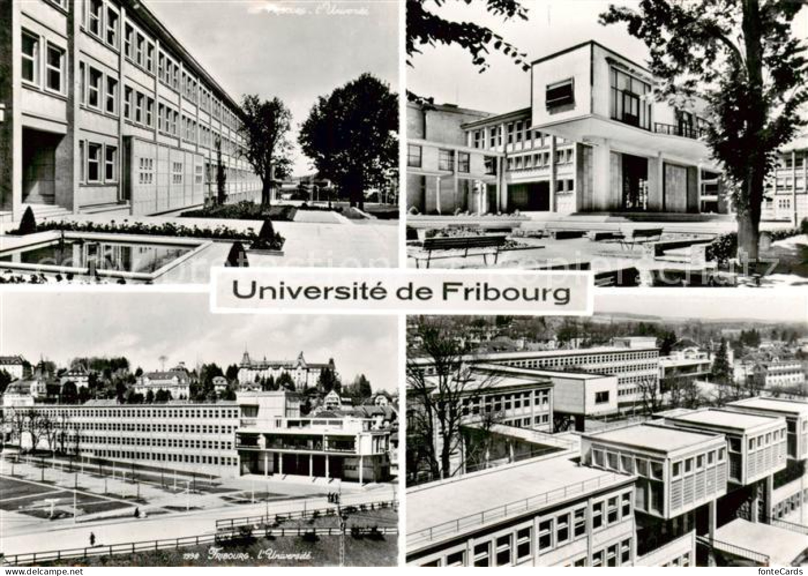 13843003 Fribourg FR Universite Vue Partielle Fribourg FR - Other & Unclassified