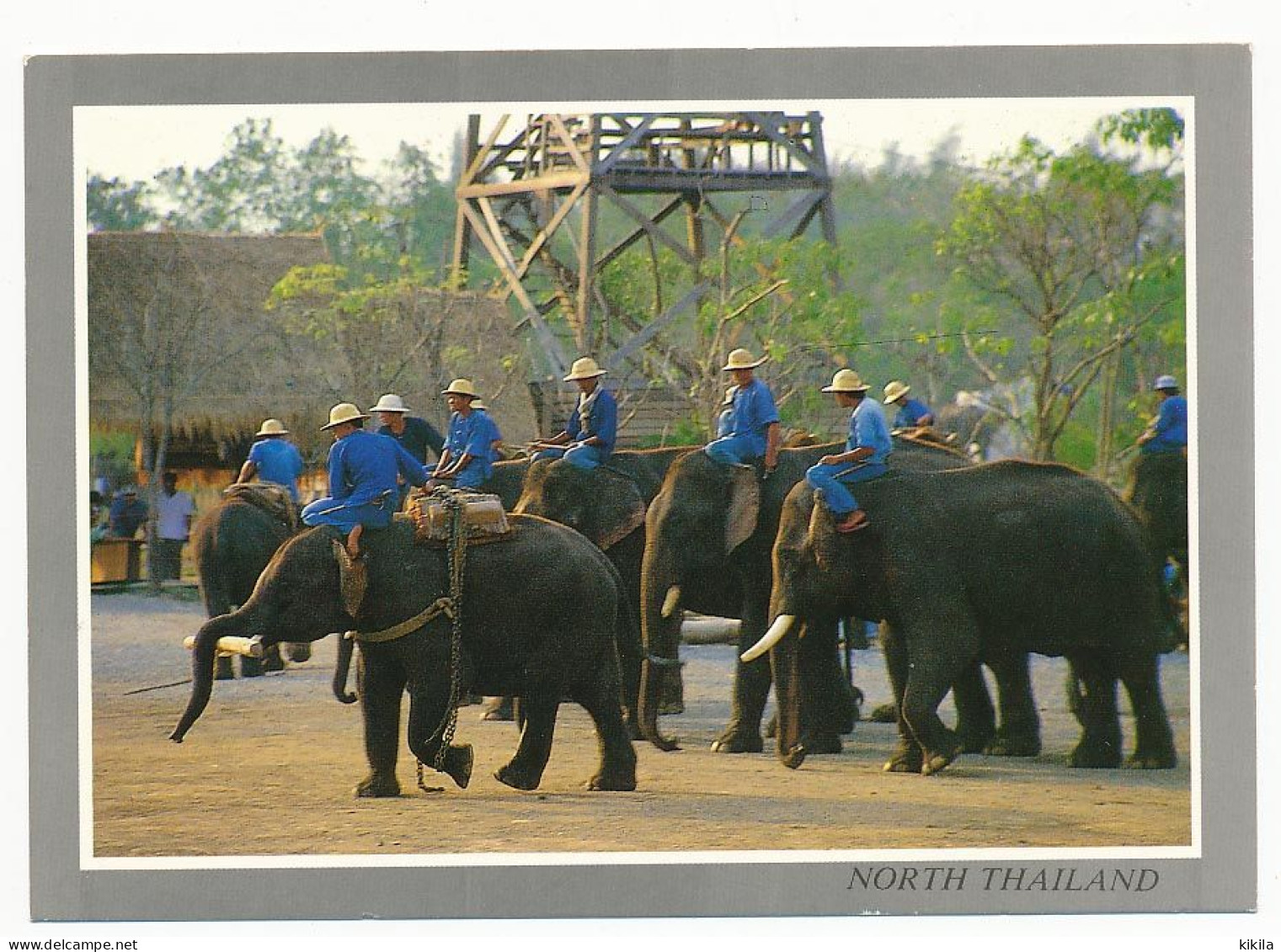 CPSM 10.5 X 15 Thaïlande (77) LAMPANG The Elephant In Group Are Starting To Work At The Forest In The Elephant Training* - Thaïlande