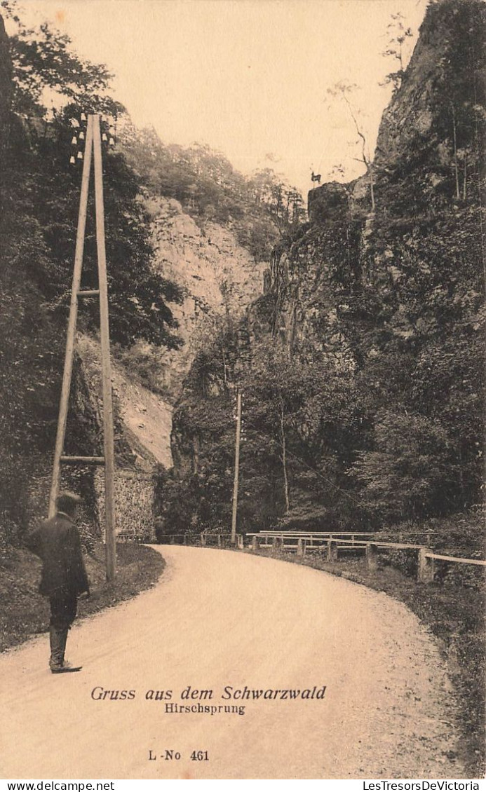 ALLEMAGNE - Gruss Aus Dem Schwarzwald -  Hirschsprung - Animé- Carte Postale Ancienne - Altri & Non Classificati