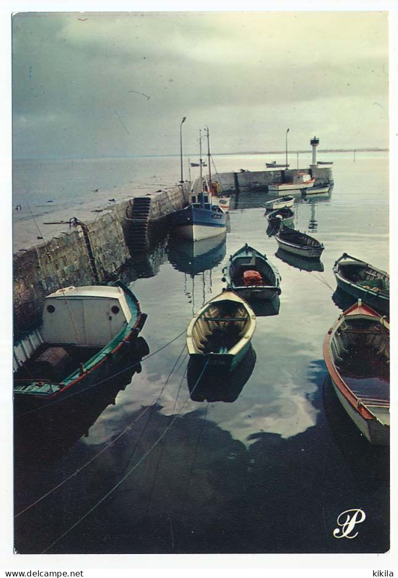 CPSM / CPM 10.5 X 15 Prestige CHARENTE-MARITIME  Barques Et Bateaux De Pêche Le Long D'une Jetée (La Flotte Ile De Ré?) - Poitou-Charentes