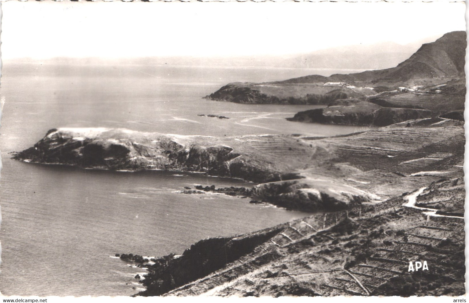 FR66 BANYULS SUR MER - APA 418 - La Côte à La Sortie De Banyuls Vers CERBERE - Belle - Banyuls Sur Mer