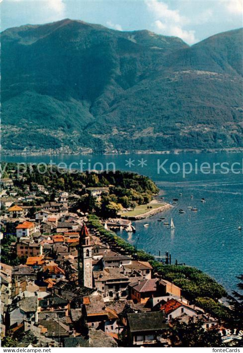 13835783 Ascona Lago Maggiore TI Il Porto Visto Della Collina  - Autres & Non Classés