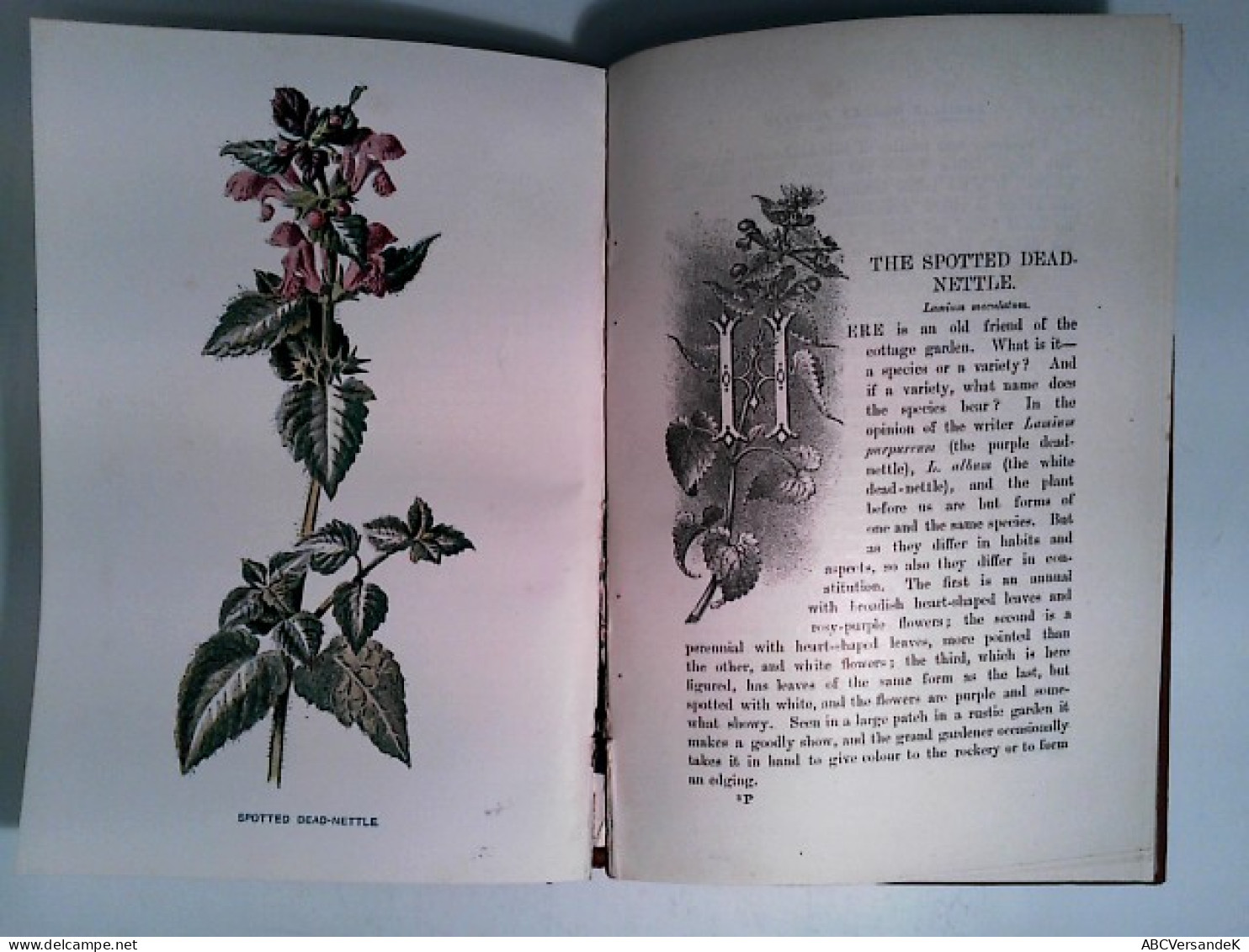 Familiar Garden Flowers. Volume IV - Botanik