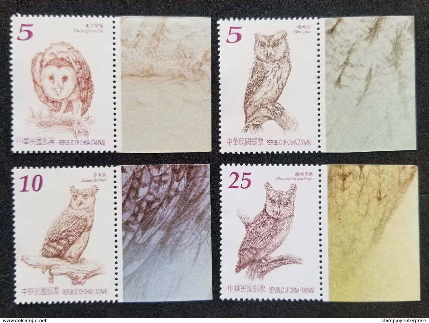 Taiwan Owls 2013 Birds Of Prey Animal Wildlife Fauna Bird Owl (stamp Margin) MNH - Unused Stamps