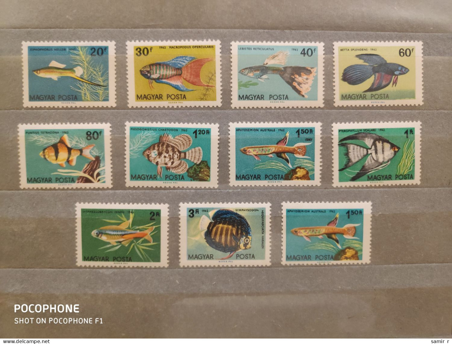 1962	Hungary	Fishes (F91) - Ongebruikt