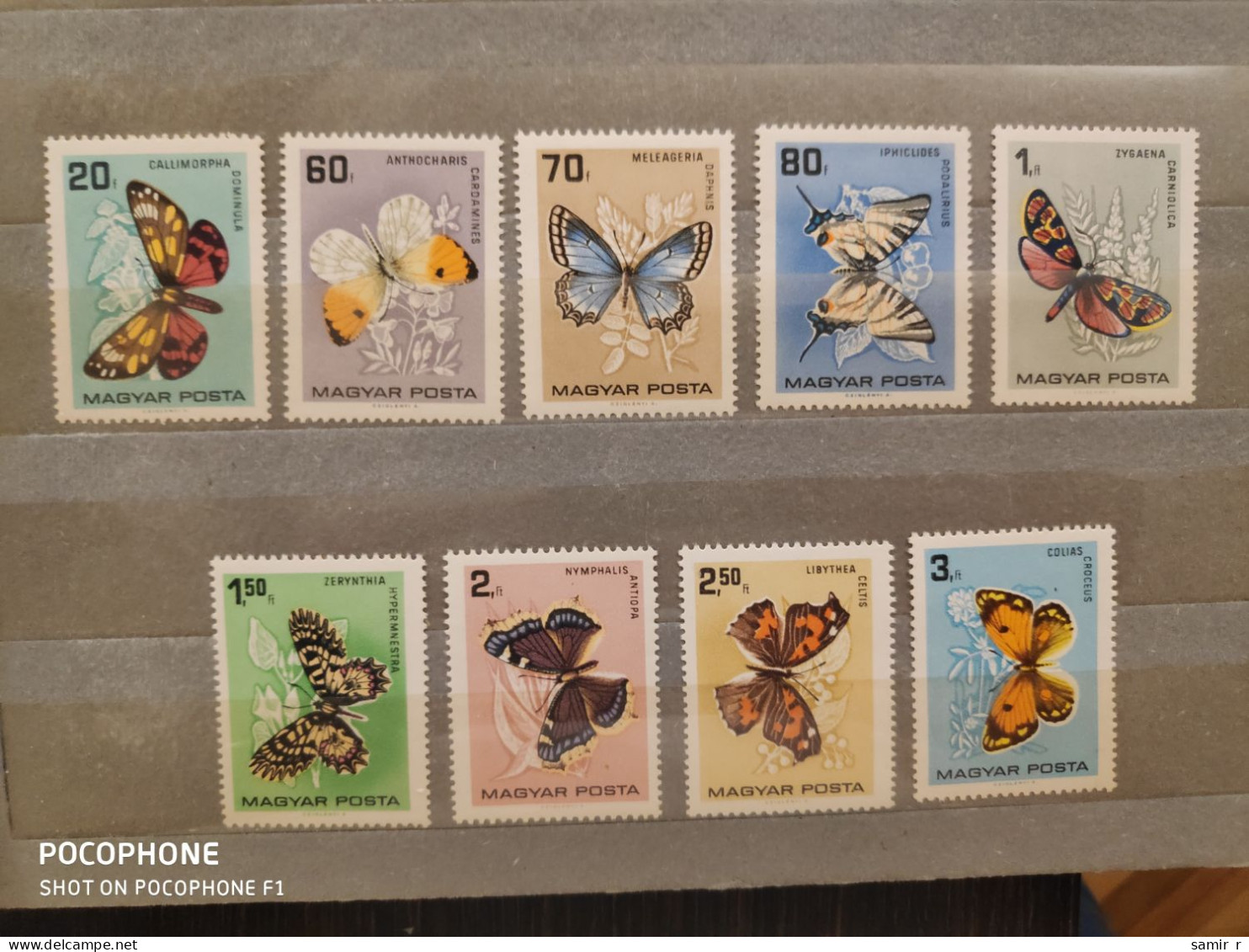 1966	Hungary	Butterflies (F91) - Ongebruikt