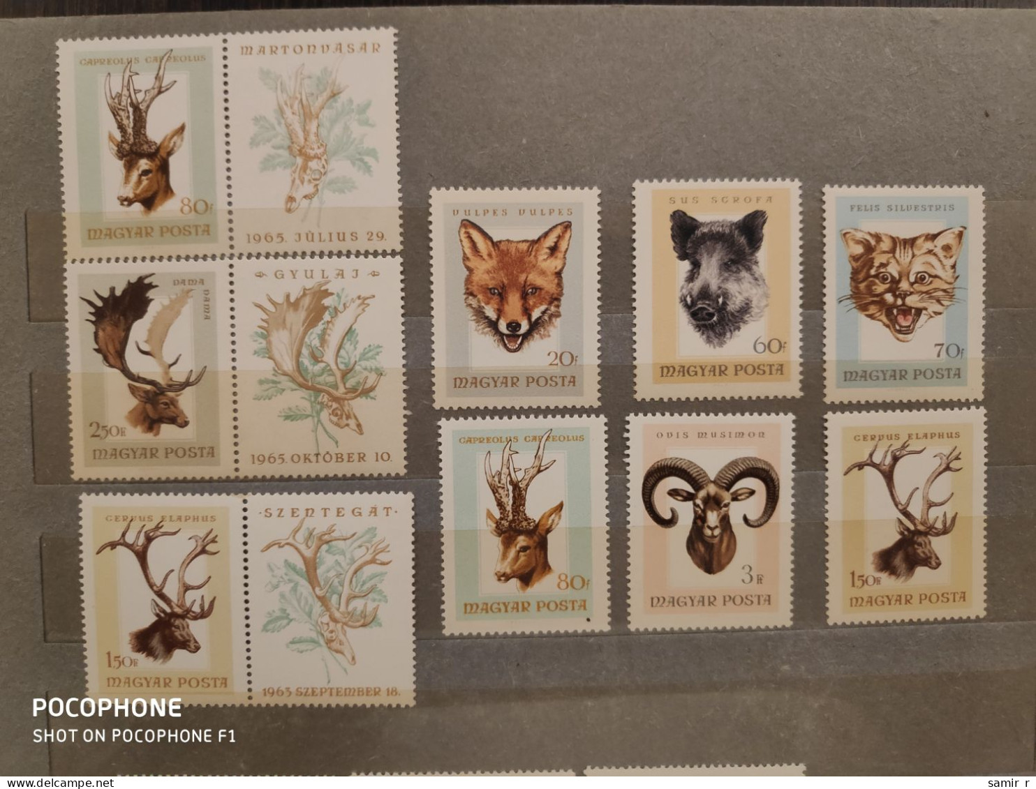 1966	Hungary	Animals (F91) - Unused Stamps