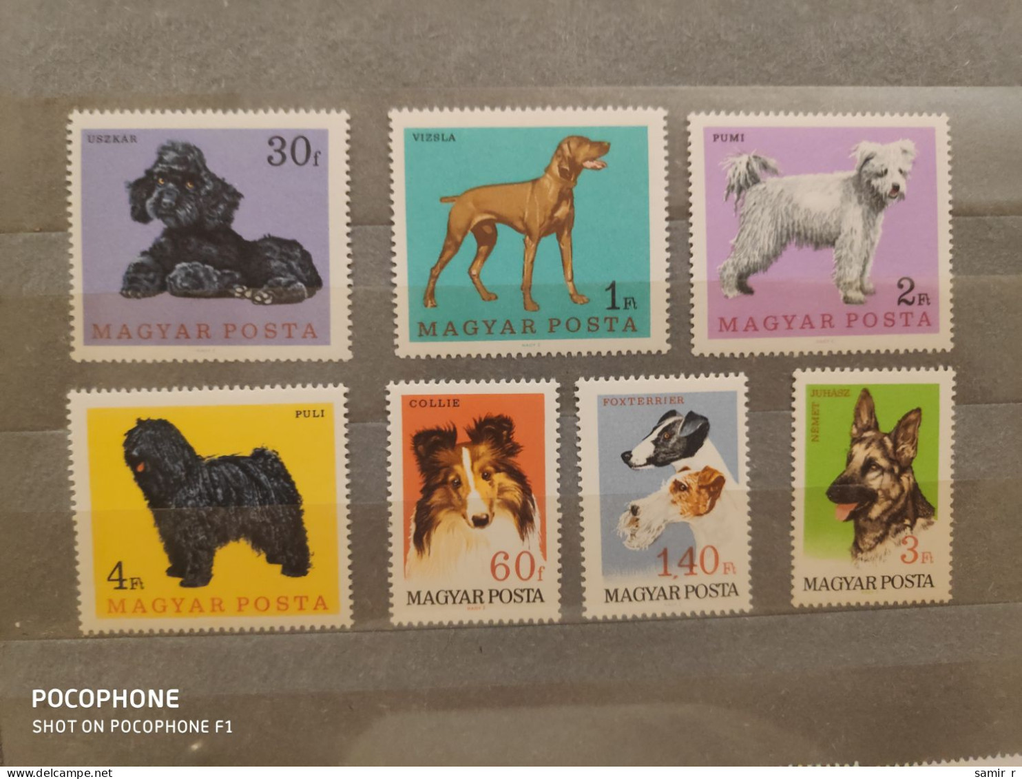 1967	Hungary	Dogs (F91) - Unused Stamps