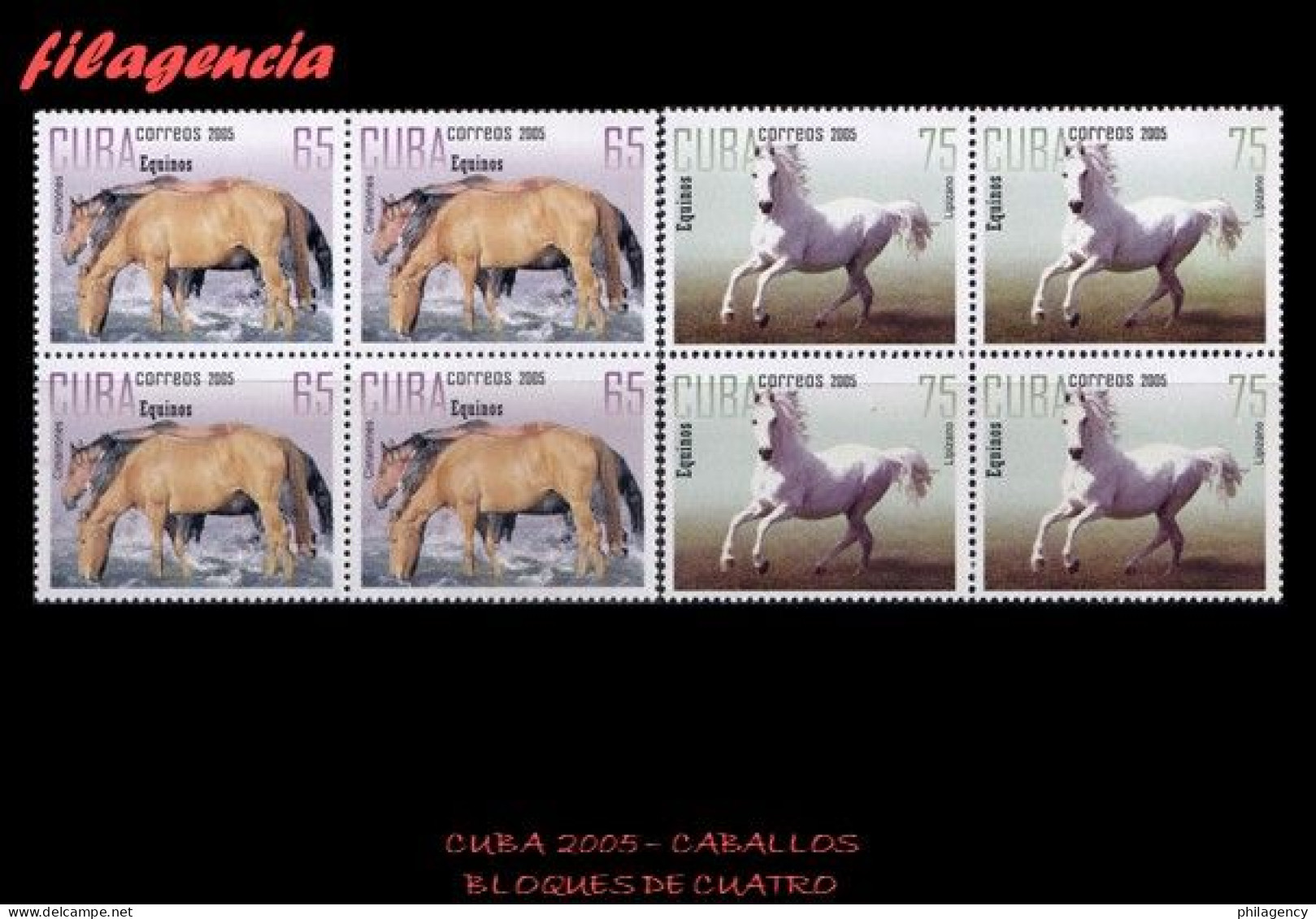 CUBA. BLOQUES DE CUATRO. 2005-29 FAUNA. CABALLOS DE RAZA - Ongebruikt