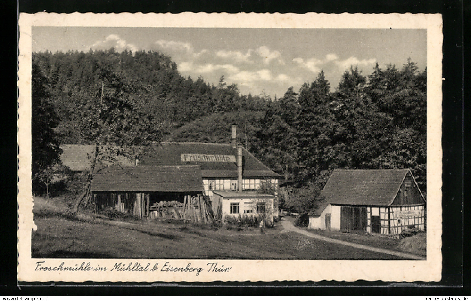 AK Eisenberg /Thür., Gasthaus Frochmühle Im Mühltal  - Eisenberg