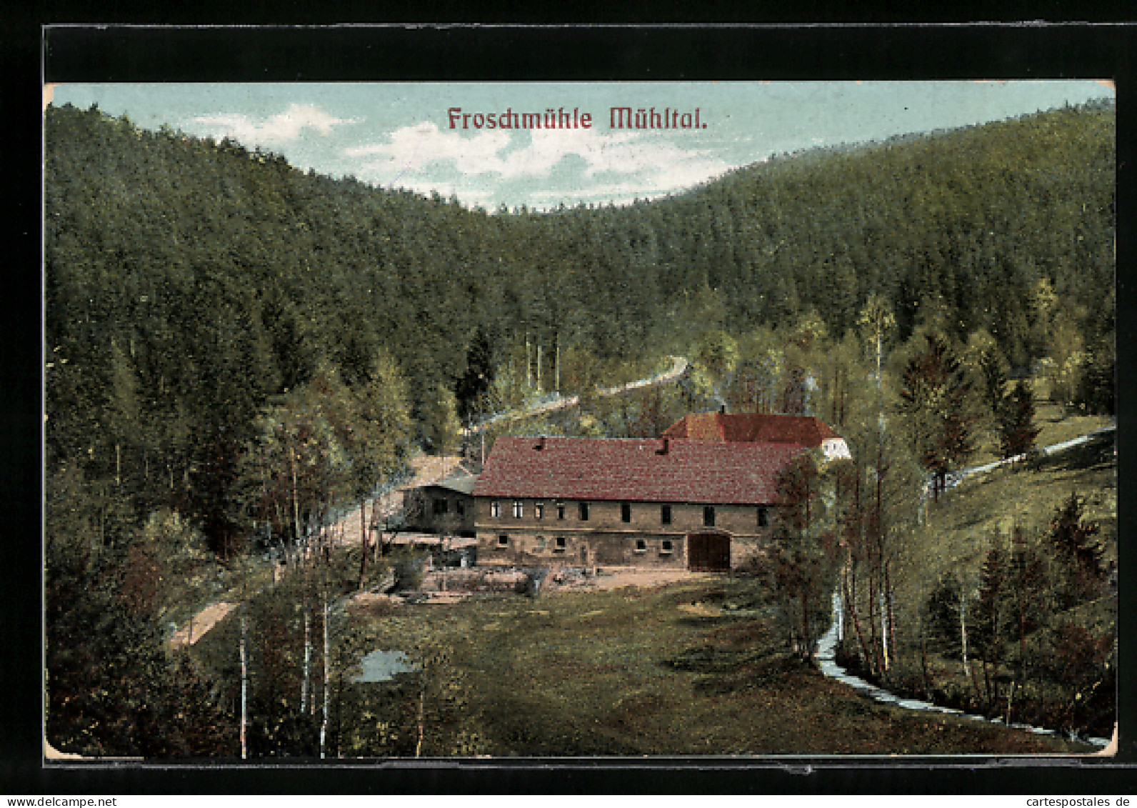 AK Eisenberg, Blick Auf Die Froschmühle  - Eisenberg