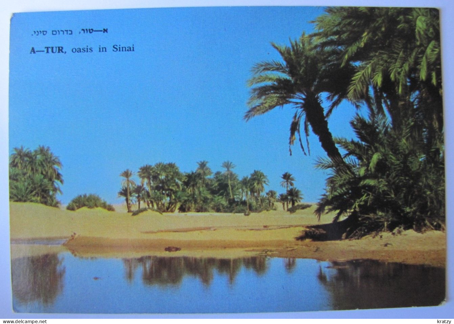 ISRAËL - A-TUR - Oasis In Sinai Desert - Israel