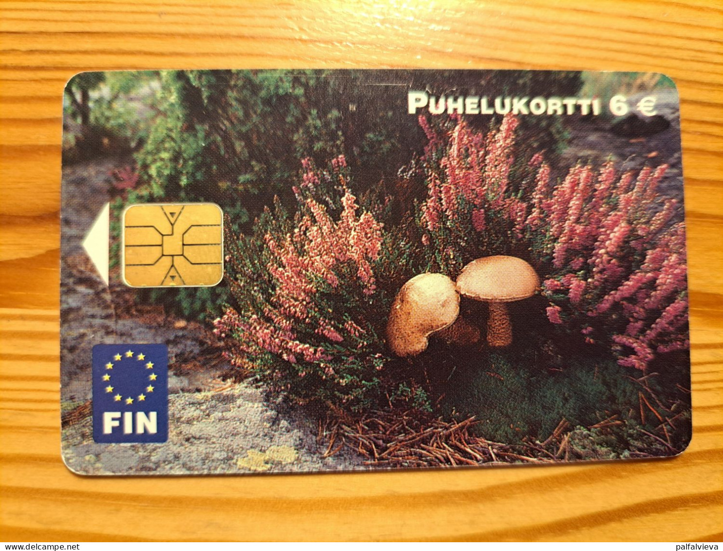 Phonecard Finland - Mushroom - Finlandia