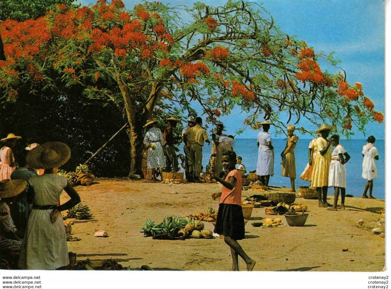 MARTINIQUE Trois Rivières En 1977 Marché En Plein Air éditions Félix Rose Rosette Fort De France - Autres & Non Classés