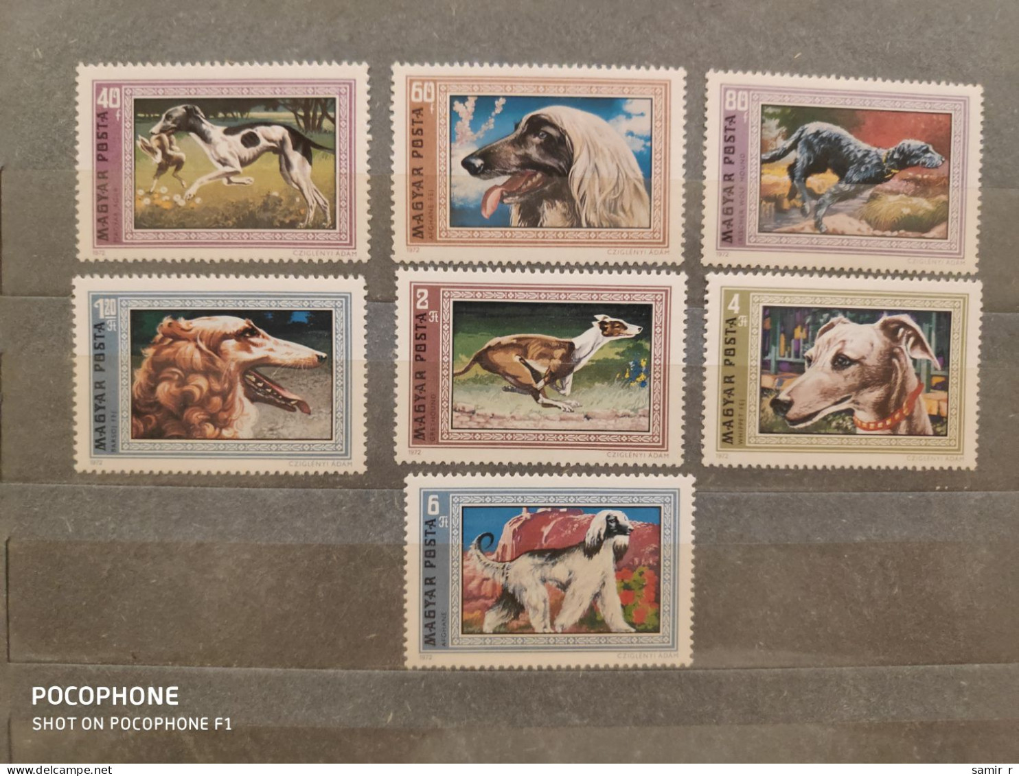 1972	Hungary	Dogs (F91) - Unused Stamps