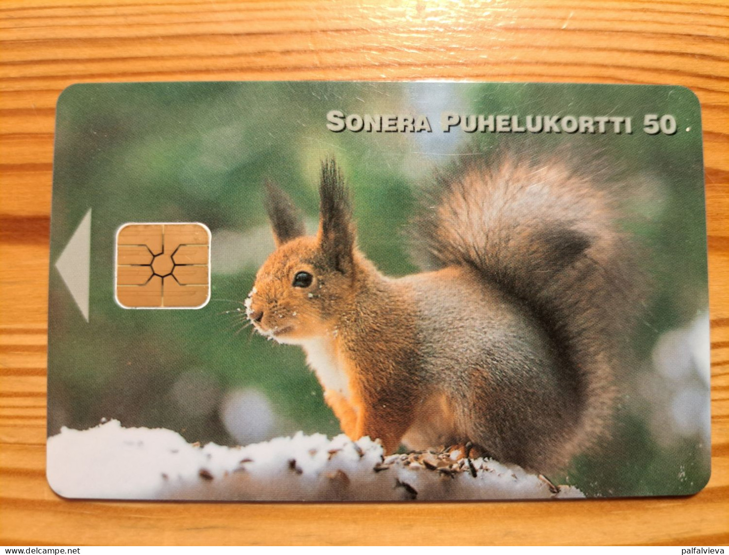 Phonecard Finland - Squirrel - Finlandia
