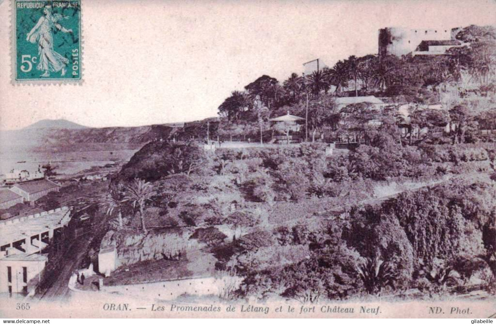 Algerie - ORAN - Les Promenades De Létang Et Le Fort Chateau Neuf - Oran