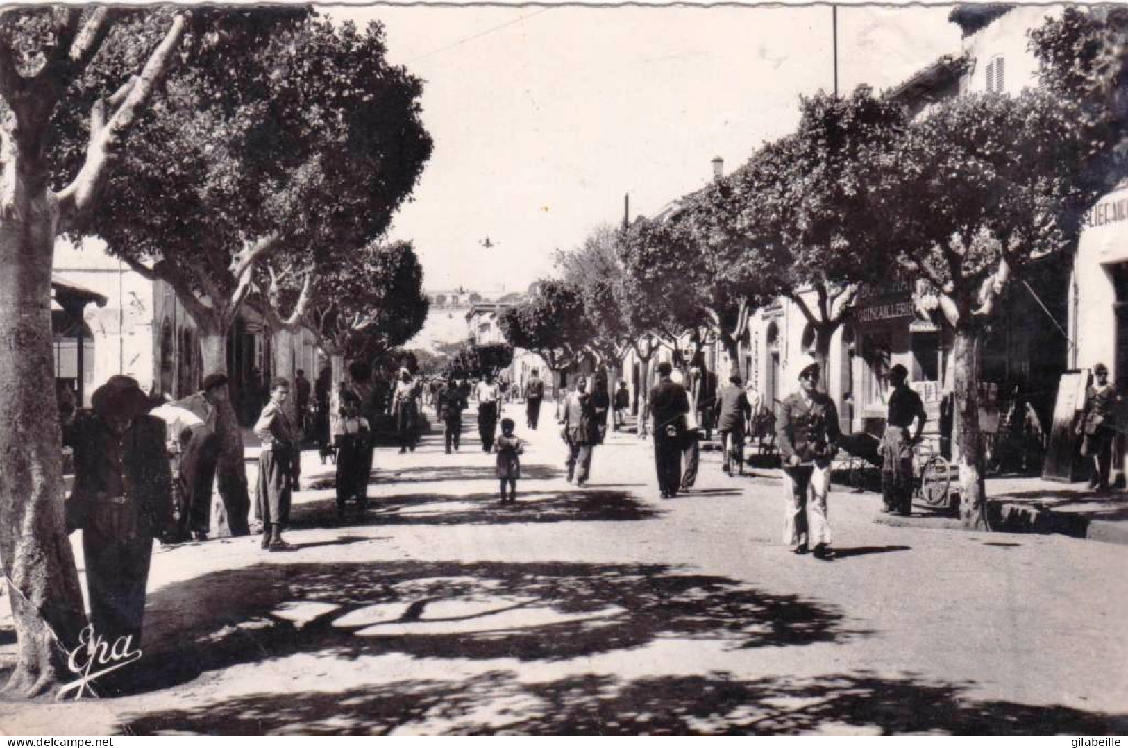 Algerie - NEMOURS ( Ghazaouet )  - La Rue Du Marché - Other & Unclassified