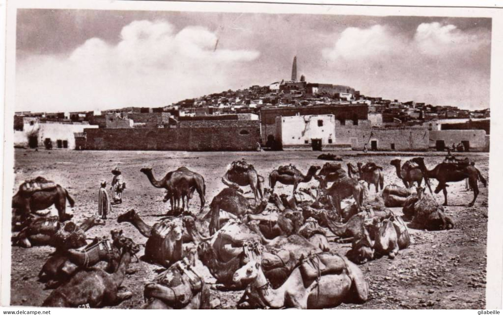 Algerie - GHARDAIA -   Caravane Au Repos - Ghardaia