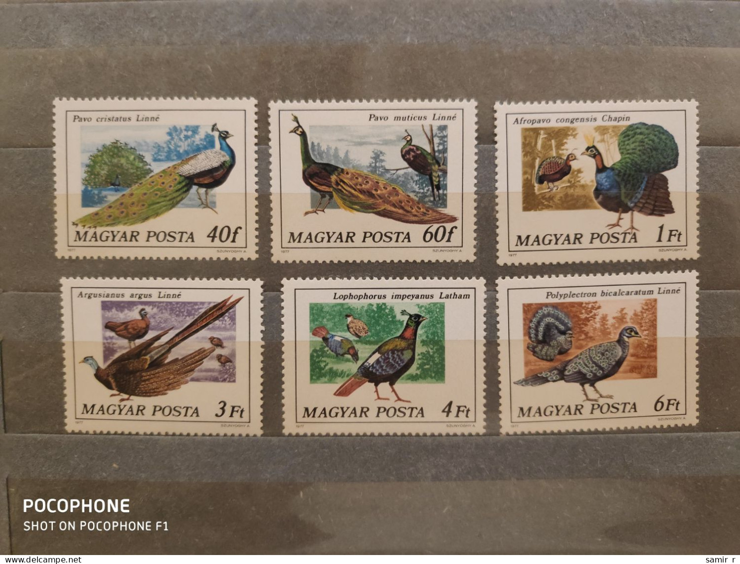 1977	Hungary	Birds (F91) - Unused Stamps