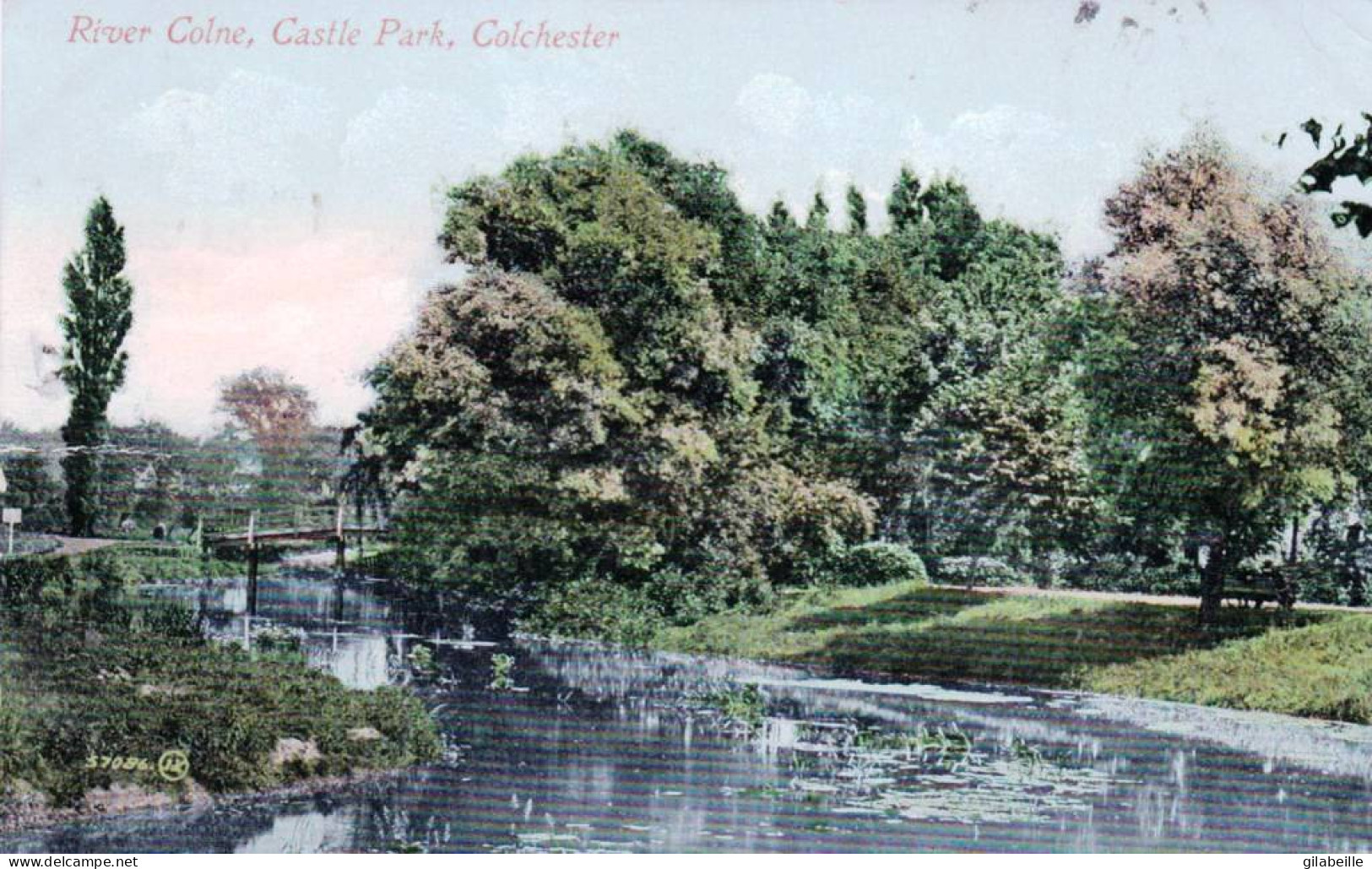 U.K -  Essex -  COLCHESTER - River Colne - Castel Park - Colchester