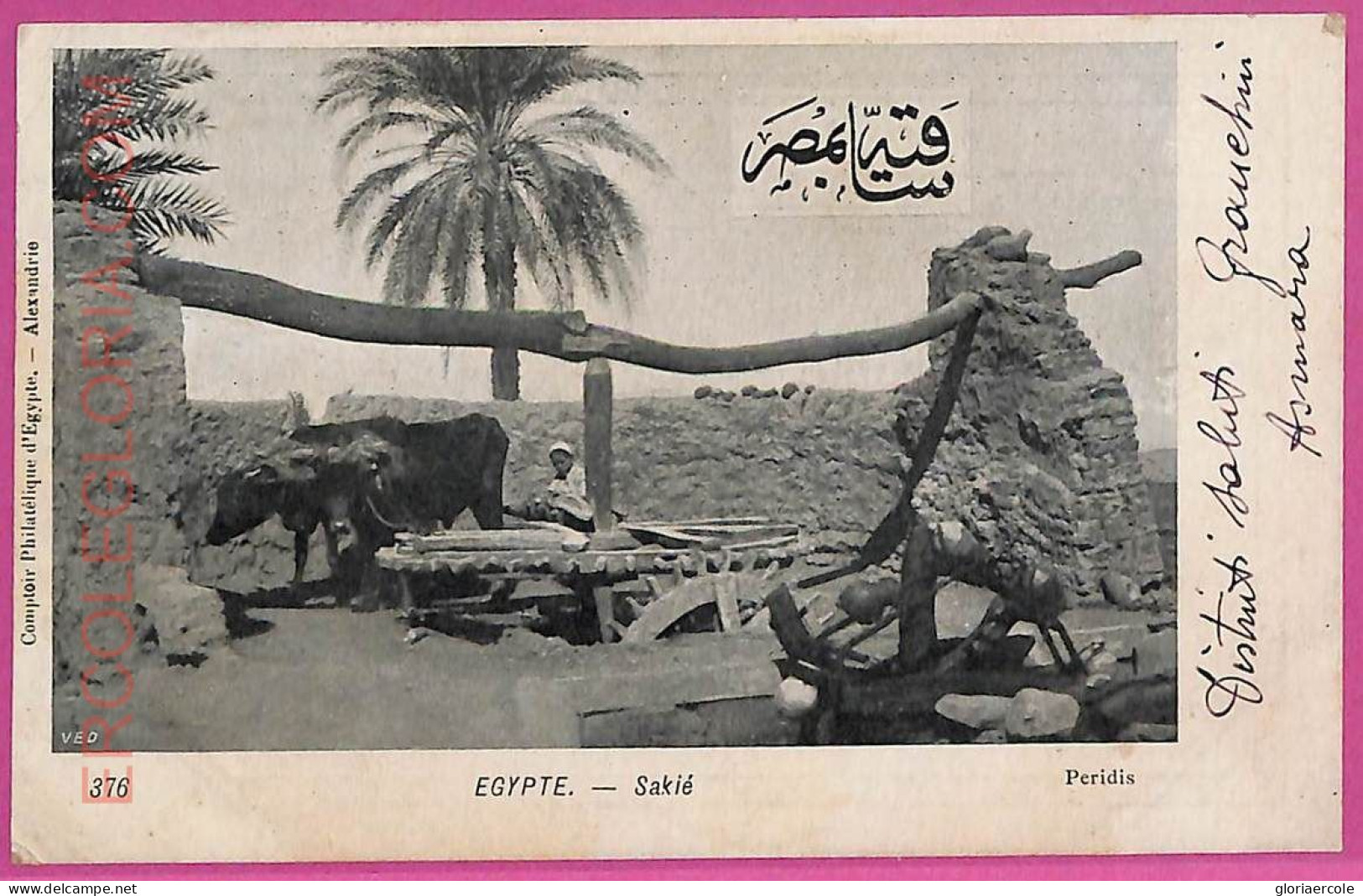 Ag2714 - EGYPT - VINTAGE POSTCARD  - Ethnic - Africa