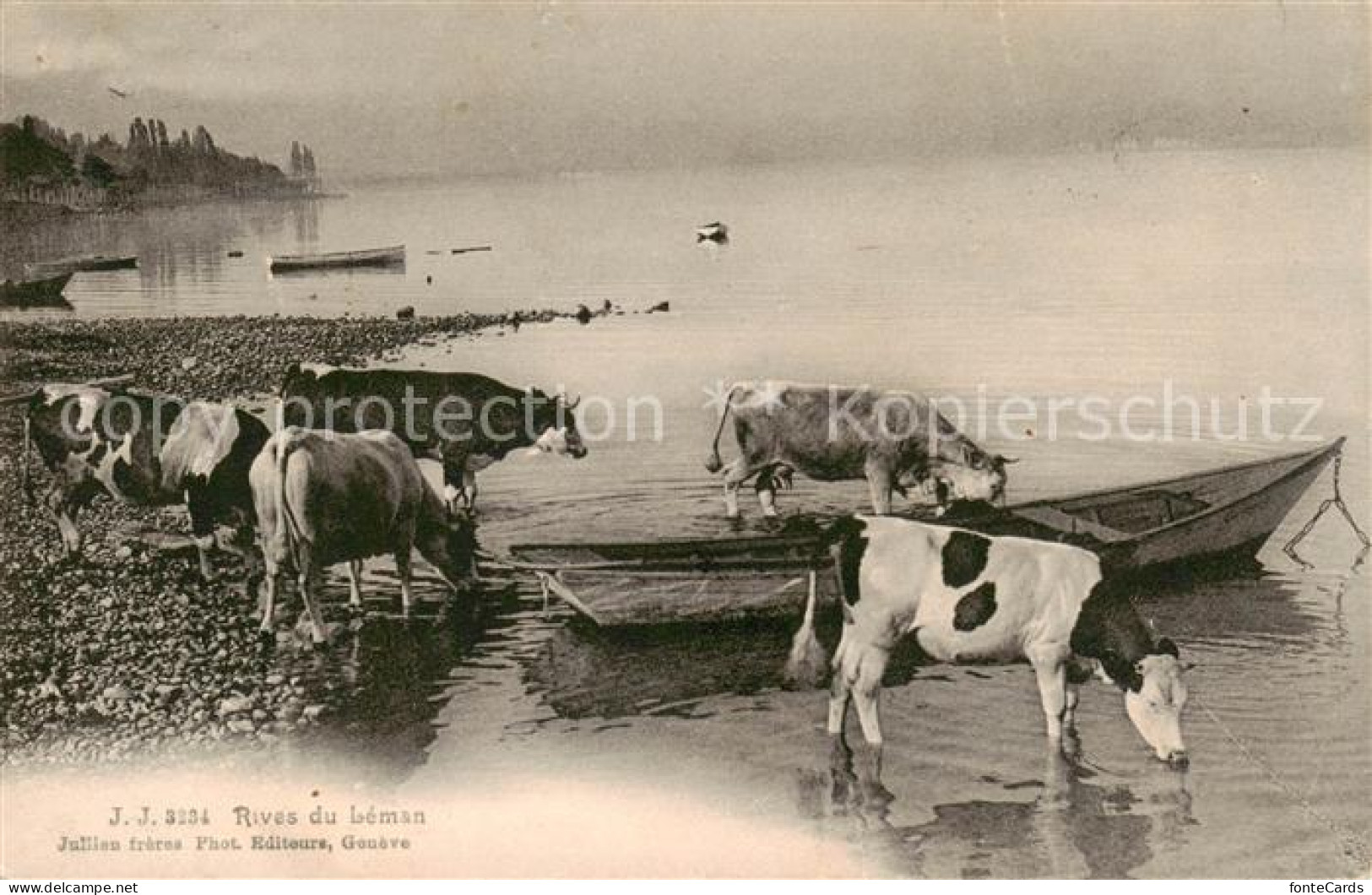 13827631 Lac Leman Genfersee GE Rives Du Leman  - Sonstige & Ohne Zuordnung