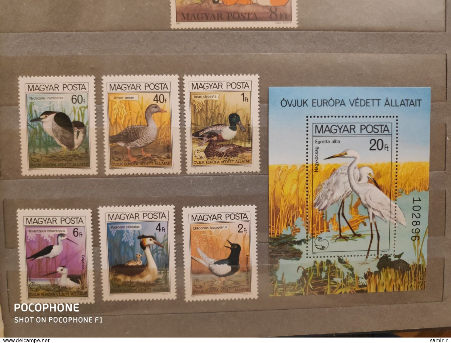 1980	Hungary	Birds (F91) - Unused Stamps