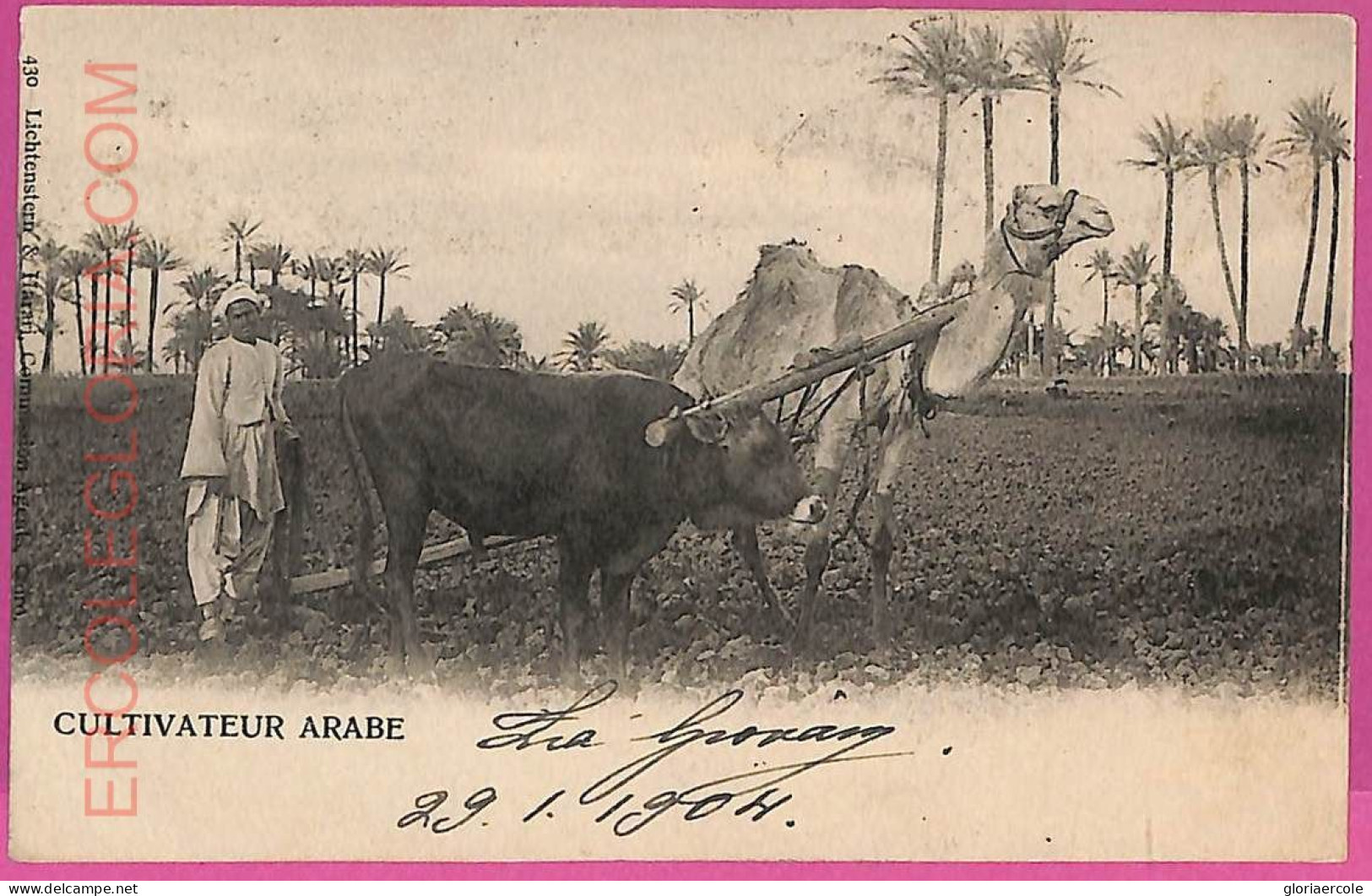 Ag2718 - EGYPT - VINTAGE POSTCARD  - Ethnic - 1904 - Afrique