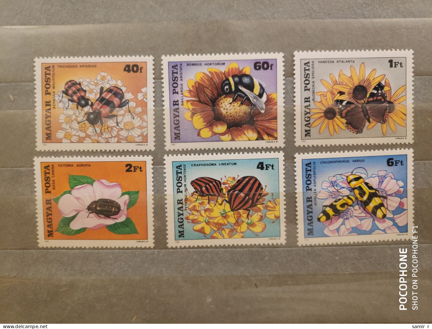 1980	Hungary	Flowers (F91) - Unused Stamps