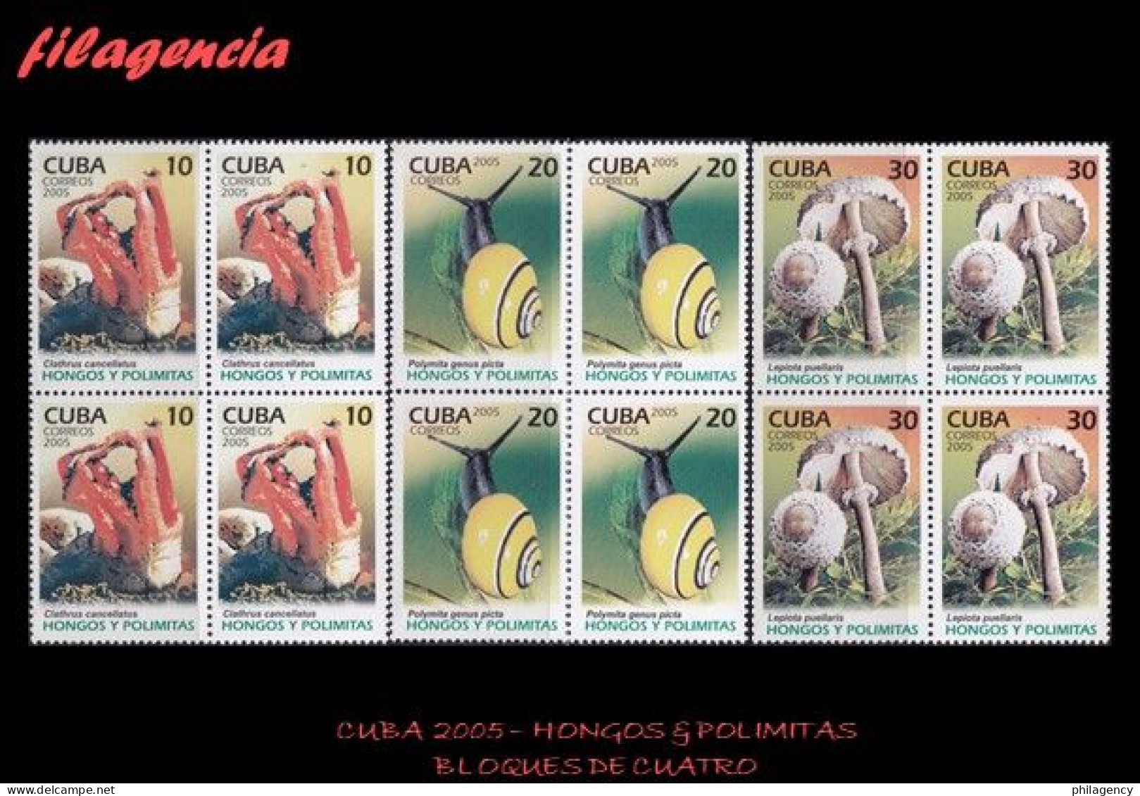 CUBA. BLOQUES DE CUATRO. 2005-36 FLORA & FAUNA. HONGOS & POLIMITAS - Unused Stamps