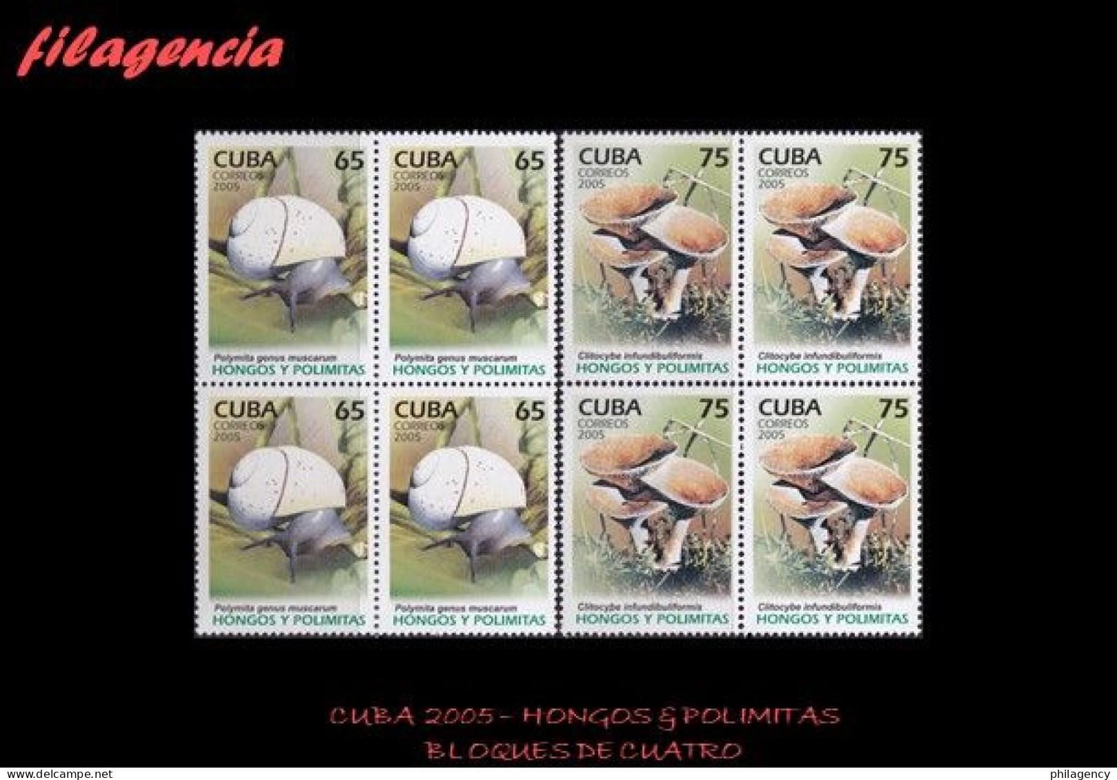 CUBA. BLOQUES DE CUATRO. 2005-36 FLORA & FAUNA. HONGOS & POLIMITAS - Unused Stamps