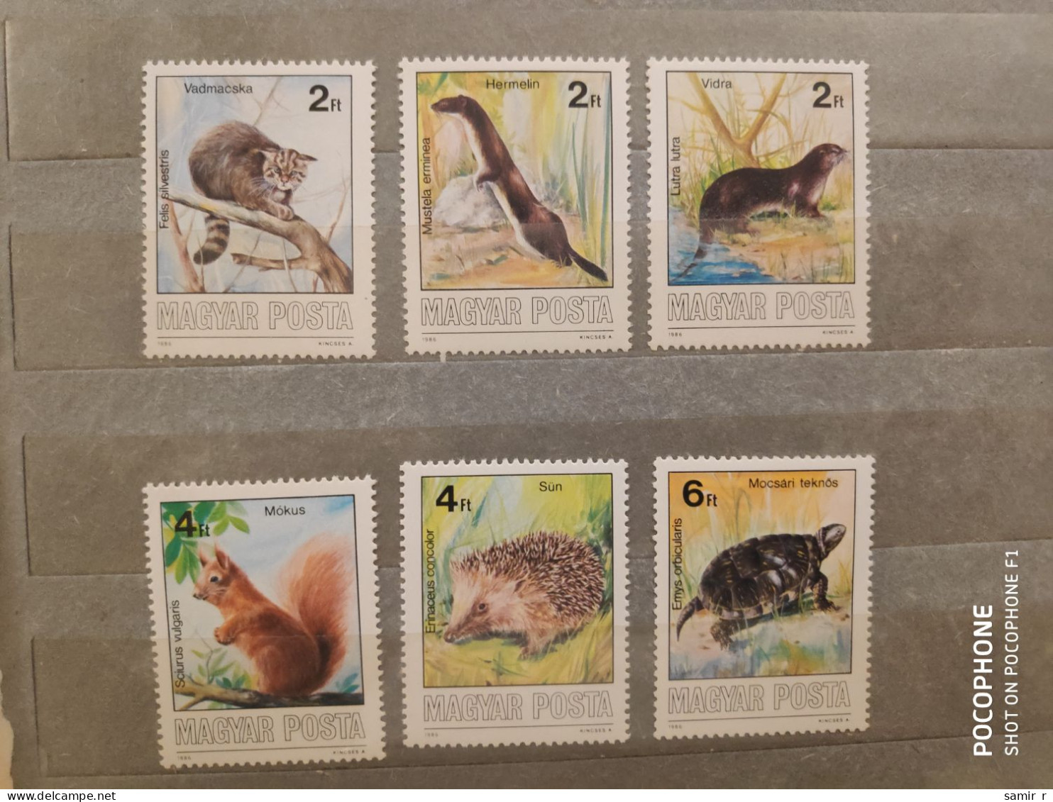 1986	Hungary	Animals (F91) - Nuevos