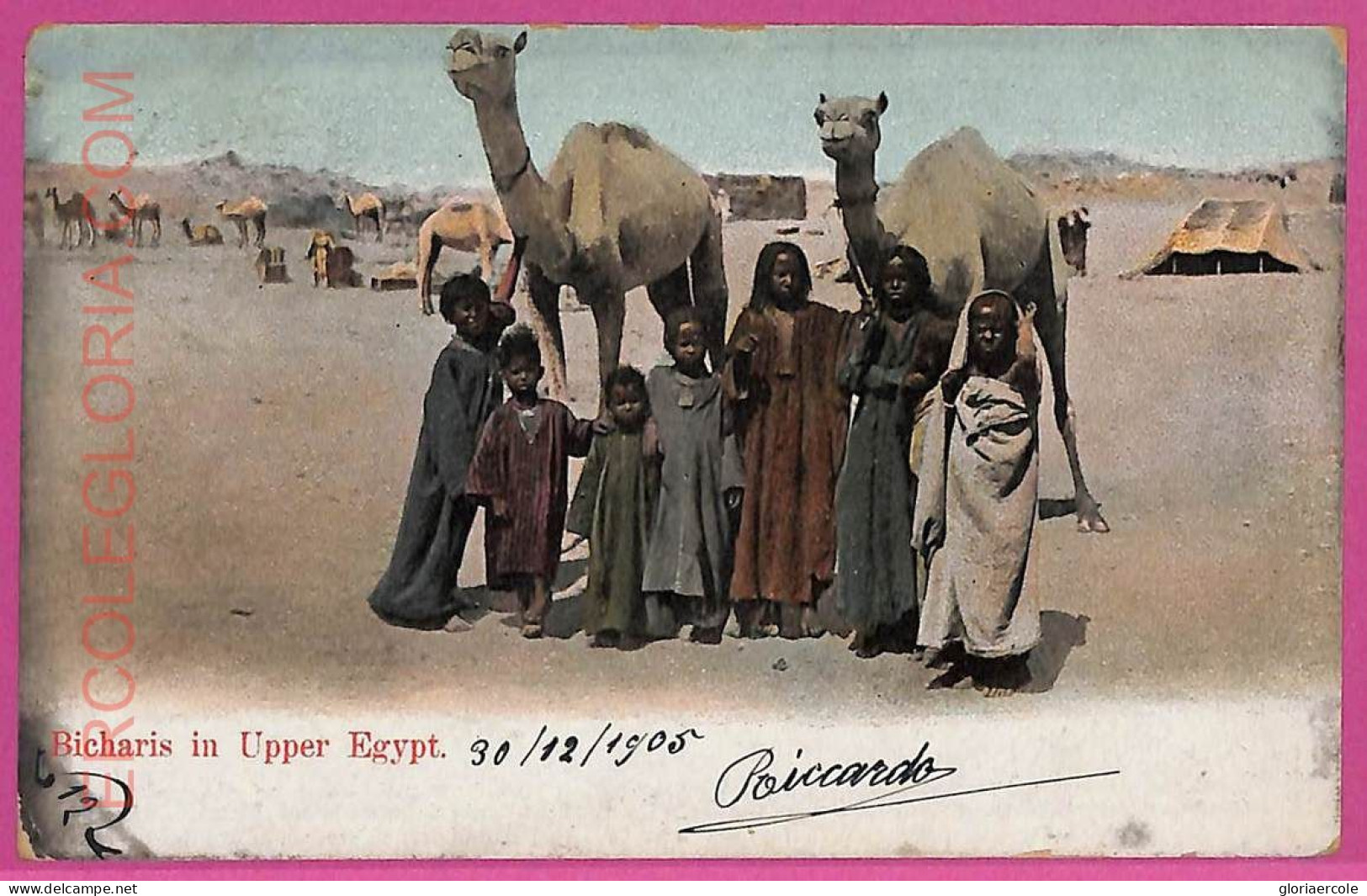 Ag2722 - EGYPT - VINTAGE POSTCARD  - Ethnic - 1905 - África