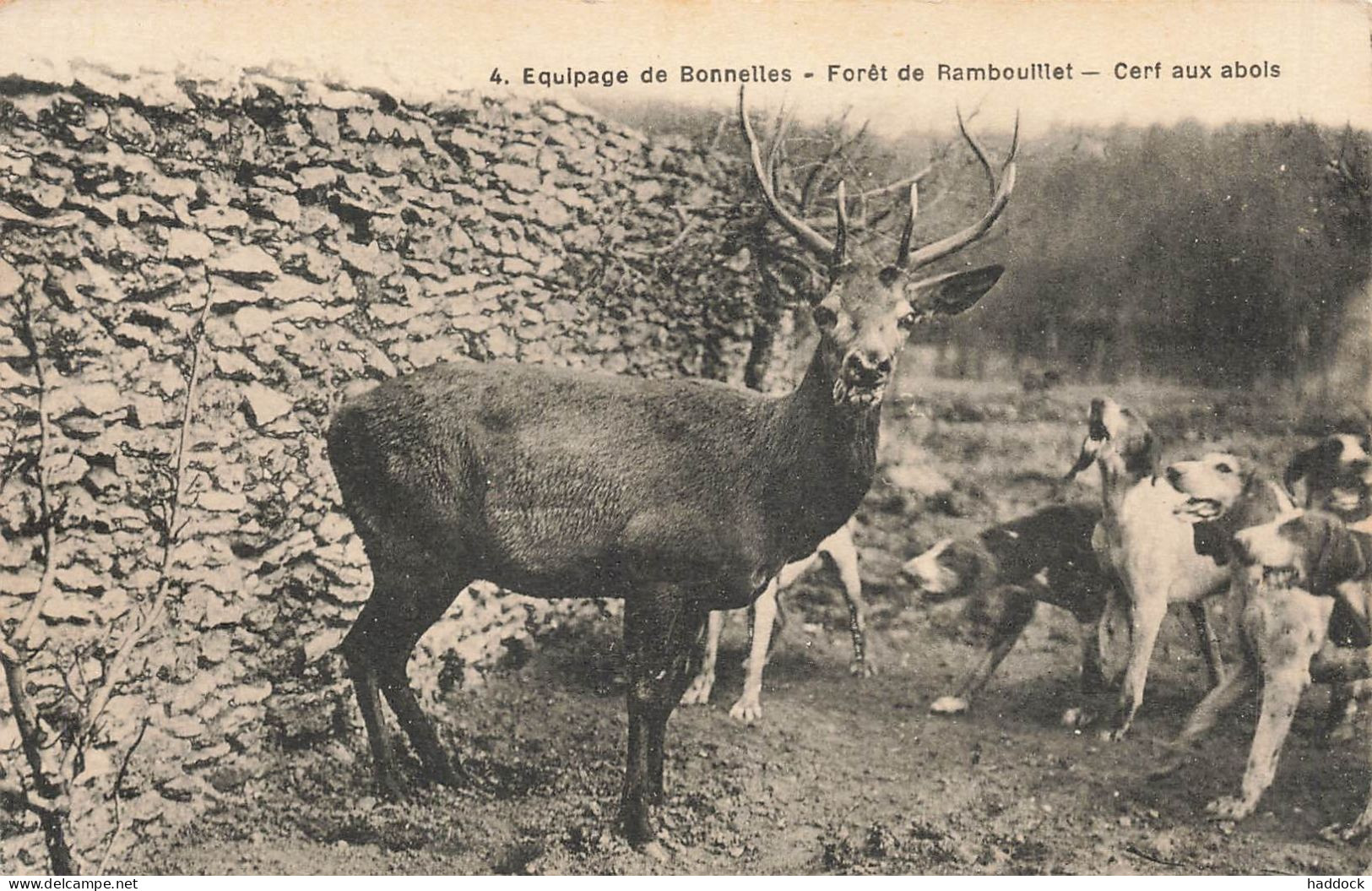 RAMBOUILLET : CHASSE A COURRE - EQUIPAGES DE BONNELLES - Rambouillet