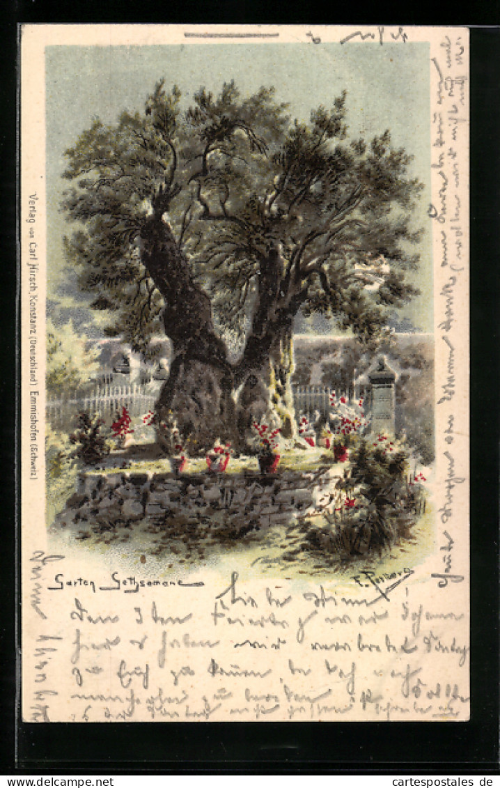 Künstler-AK Friedrich Perlberg: Garten Gethsemane  - Perlberg, F.