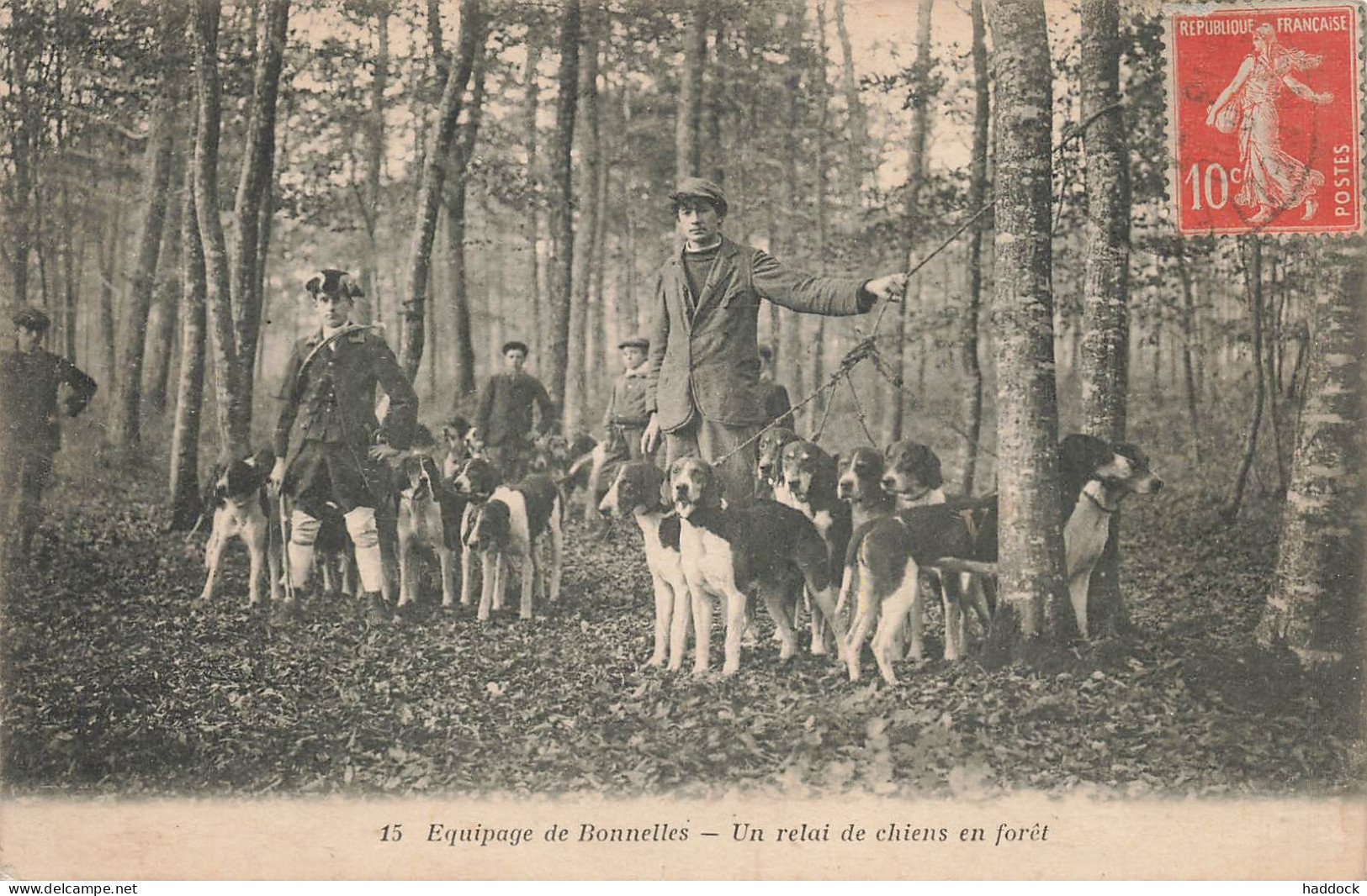 RAMBOUILLET : CHASSE A COURRE - EQUIPAGES DE BONNELLES - UN RELAI DE CHIENS EN FORET - Rambouillet