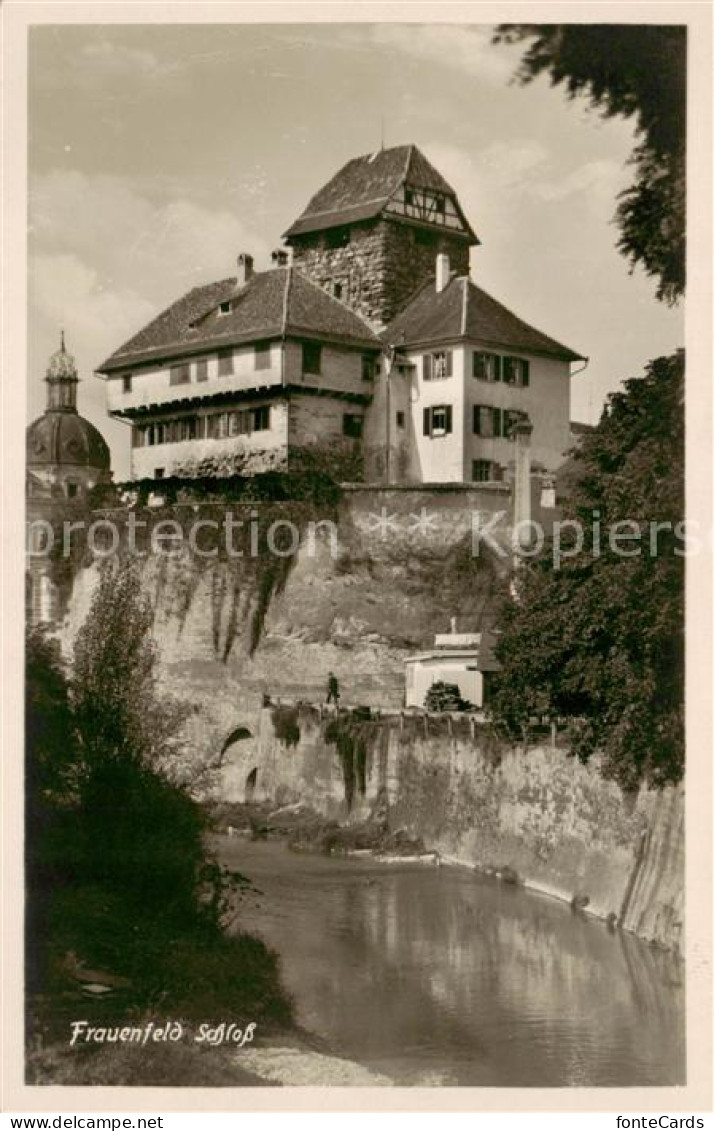 13823573 Frauenfeld TG Schloss  - Autres & Non Classés