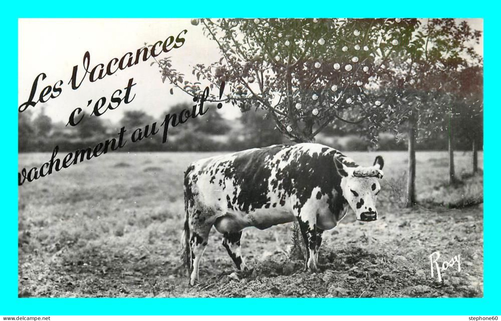 A805 / 189 VACHE En Vacances - Koeien