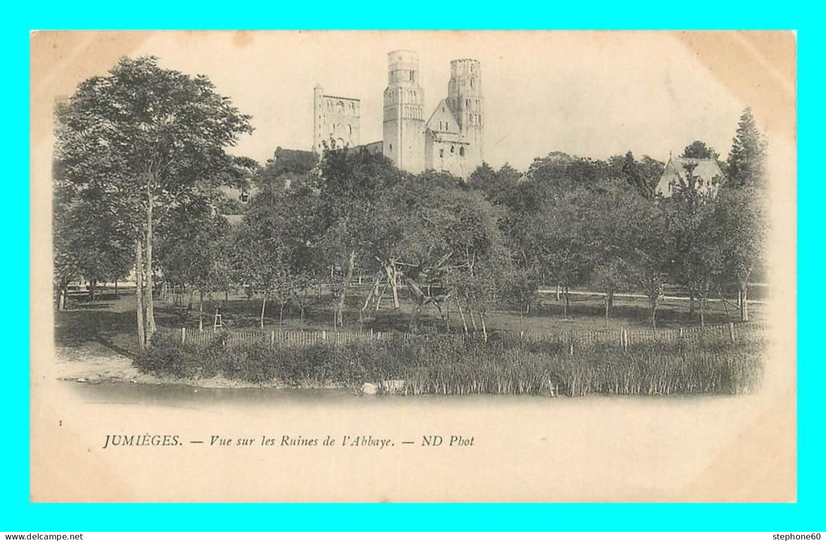 A805 / 329 76 - JUMIEGES Vue Sur Les Ruines De L'Abbaye - Jumieges