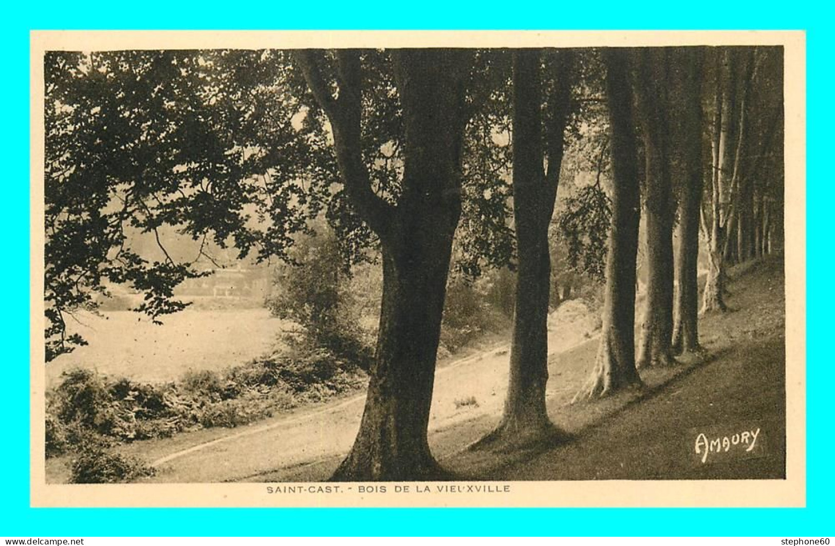 A805 / 501 22 - SAINT CAST Bois De La Vieuxville - Saint-Cast-le-Guildo
