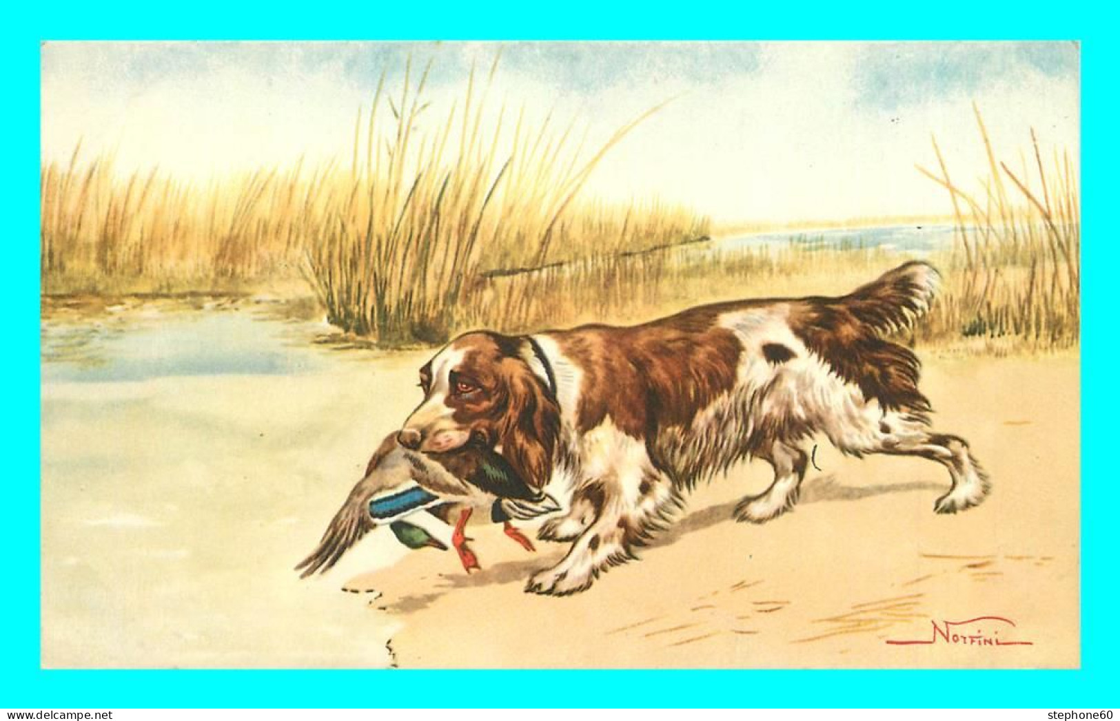 A806 / 403 CHIEN De Chasse Illustrateur NORFINI - Chiens