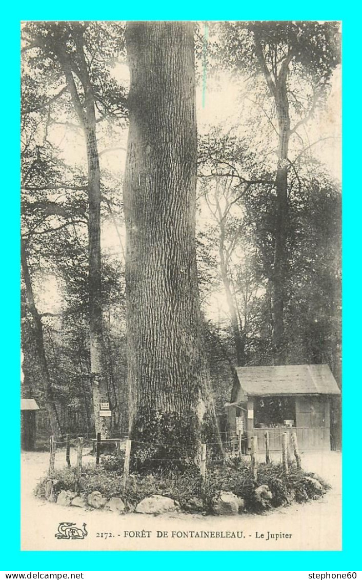 A807 / 591 77 - Foret De FONTAINEBLEAU Le Jupiter - Fontainebleau