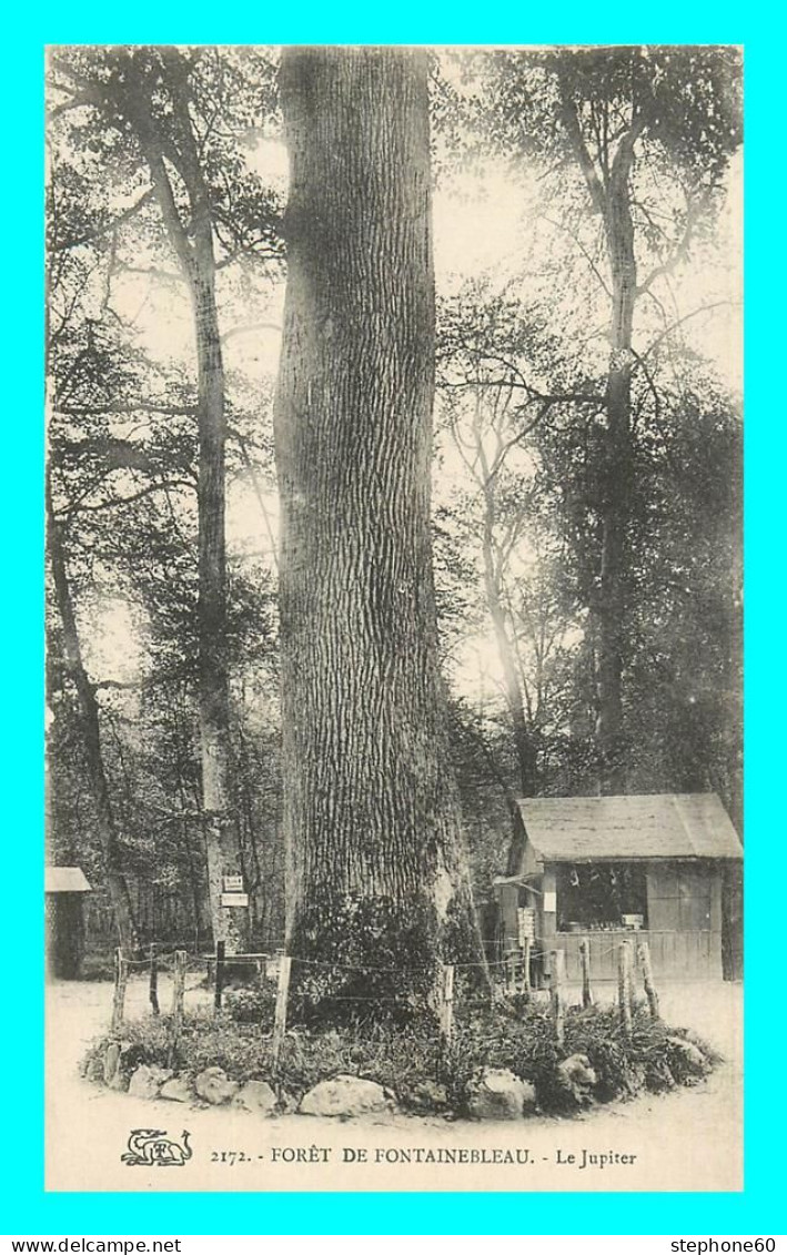 A807 / 593 77 - Foret De FONTAINEBLEAU Le Jupiter - Fontainebleau