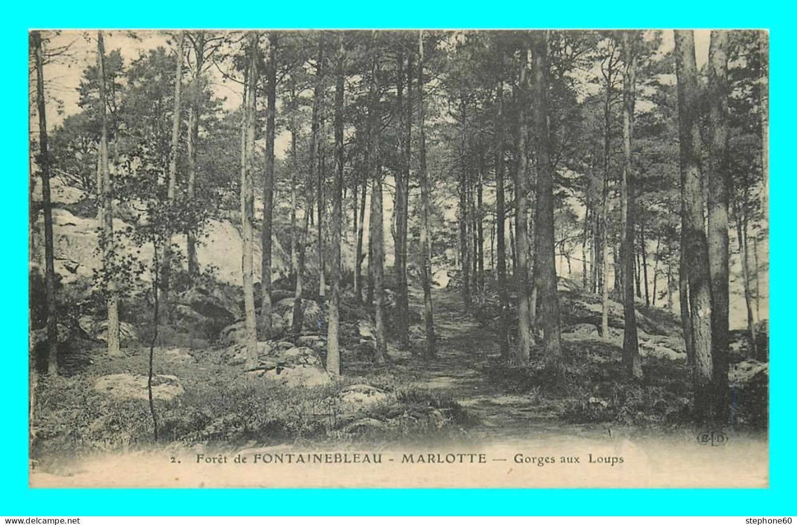 A808 / 111 77 - Foret De FONTAINEBLEAU MARLOTTE Gorges Aux Loups - Fontainebleau